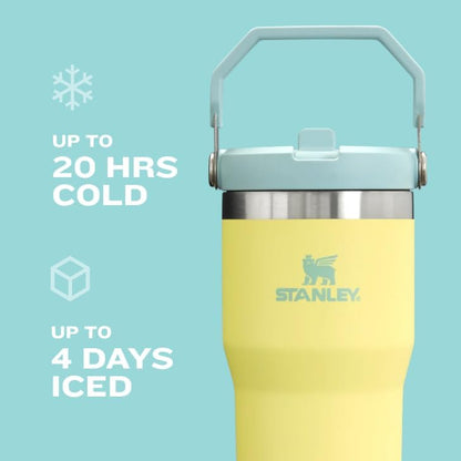 Stanley IceFlow 2.0 Flip Straw Tumbler with Handle 30 oz