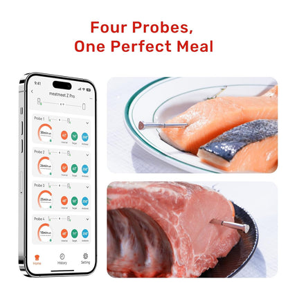 Z Pro Smart Wireless Meat Thermometer