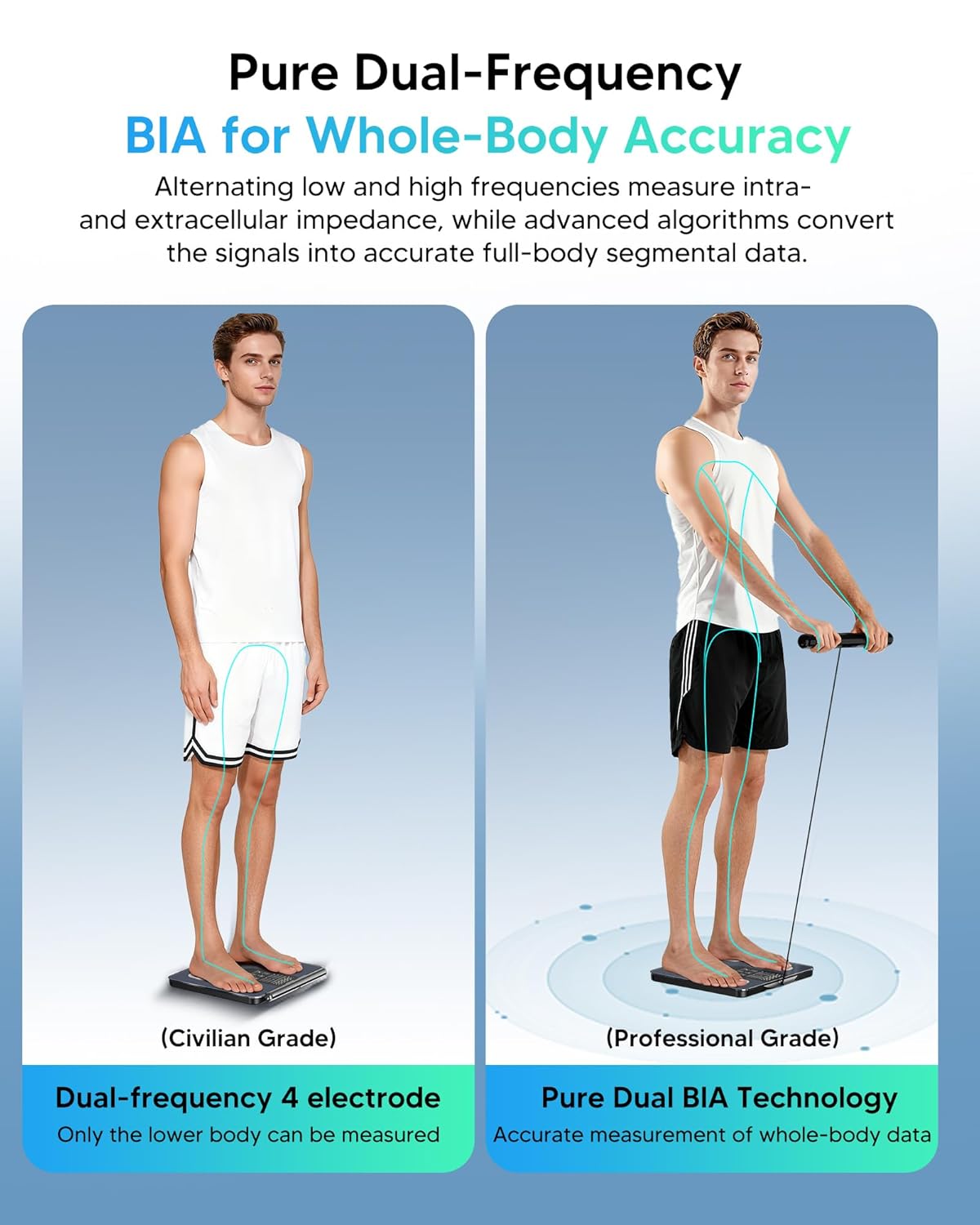 Arboleaf Scale for Body Weight and Fat