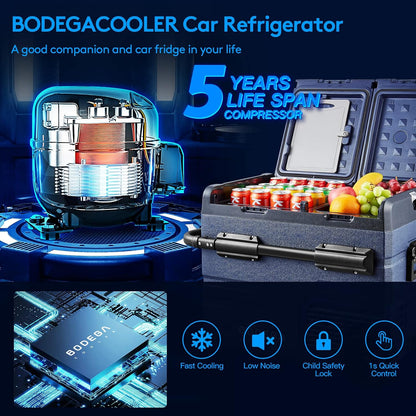 BODEGACOOLER 12V Portable Refrigerator Dual Zone 48 Quart, 45L Portable Car Fridge Freezer