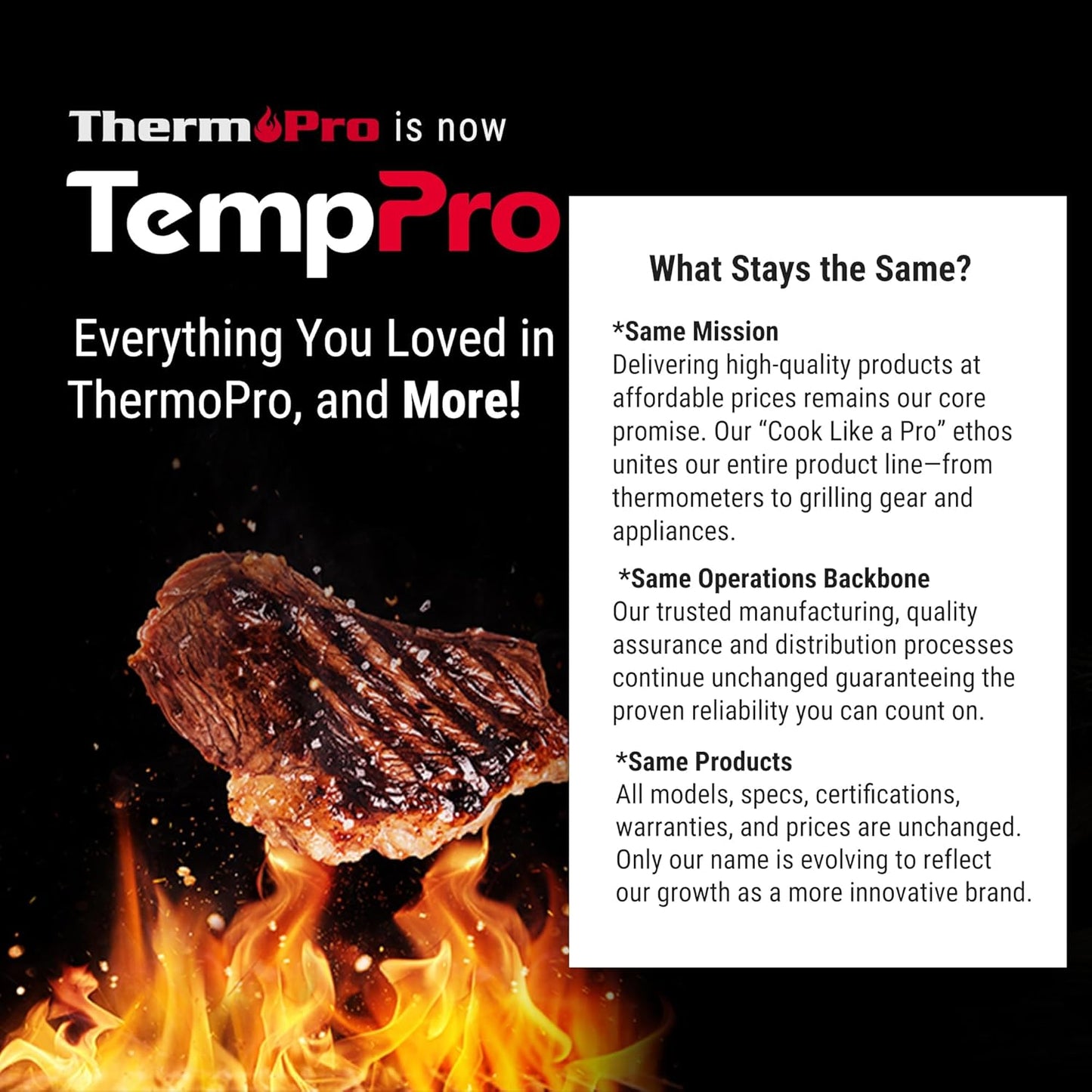 TempPro TP20 500FT Wireless Meat Thermometer with Dual Meat Probe